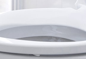 Natural Toilet Cleaner