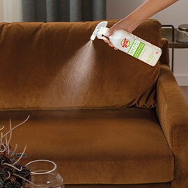 person spraying living room with scotch brite one step cleaner and disinfectant