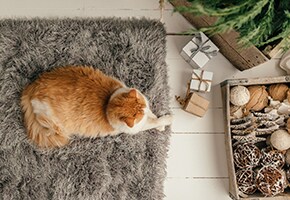 Get Your Home Ready for Holiday Guests