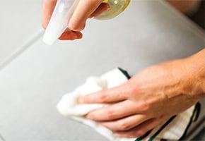 Natural Upholstery Cleaner 