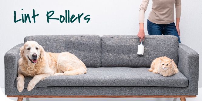 A dog and cat sitting on a couch. A woman lint rolls the back of the hairy couch.
