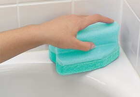 Remove Mold and Mildew