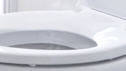 White toilet seat 
