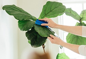 7 Forgotten Things to Spring Clean