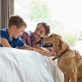 Un père et son fils allongés sur le coin d’un lit en jouant avec le golden retriever familial.